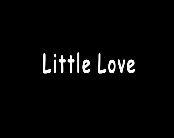 LITTLE LOVE logo