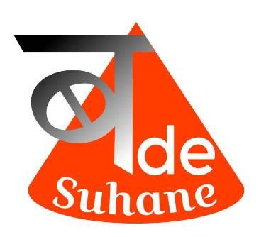 BADE SUHANE logo