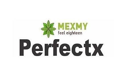 MEXMY FEEL EIGHTEEN PERFECTX logo