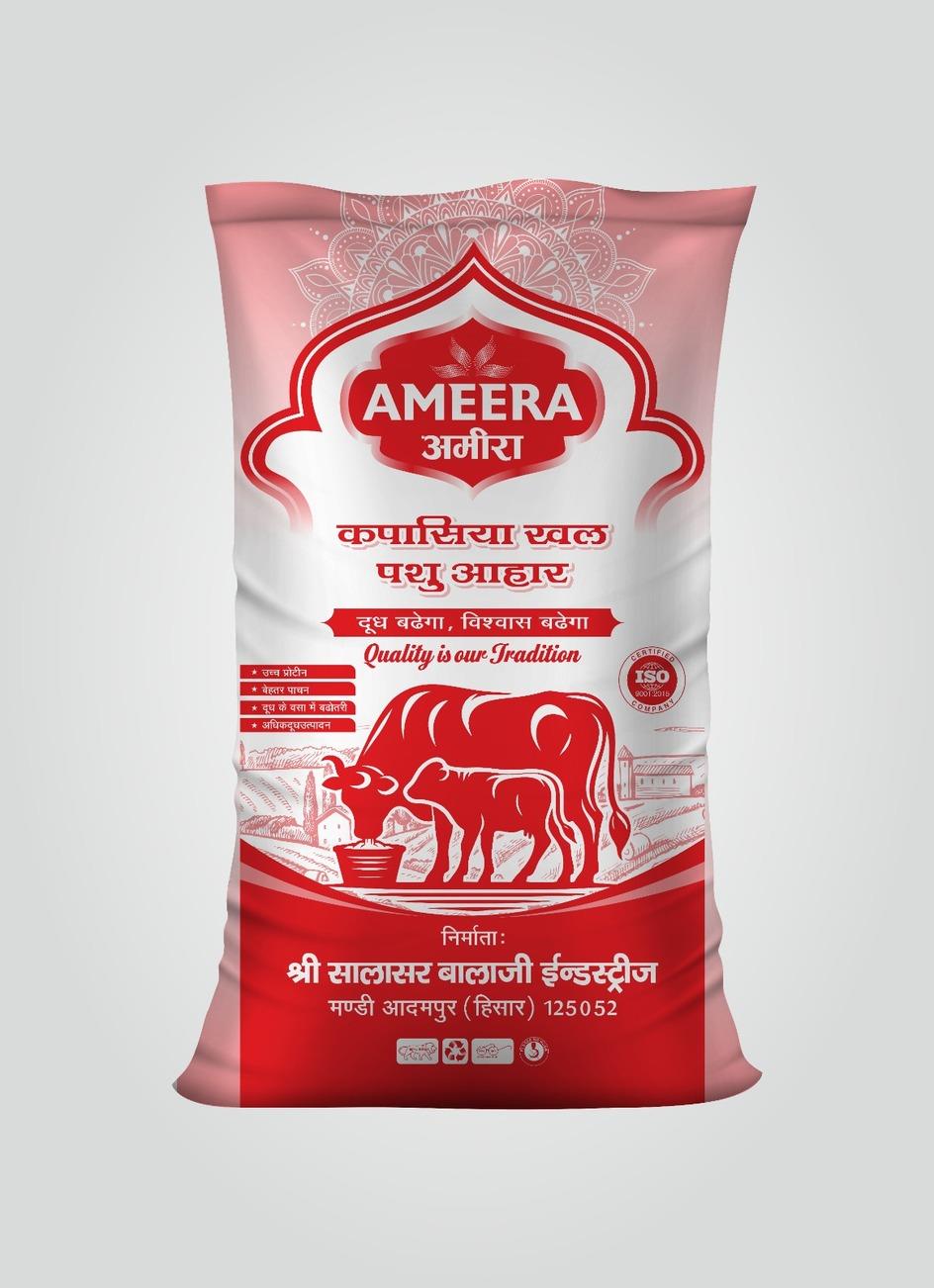 AMEERA logo