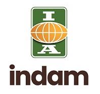 INDAM logo