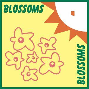 BLOSSOMS logo