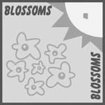 BLOSSOMS logo