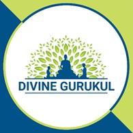 DIVINE GURUKUL logo