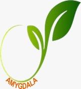 AMYGDALA logo
