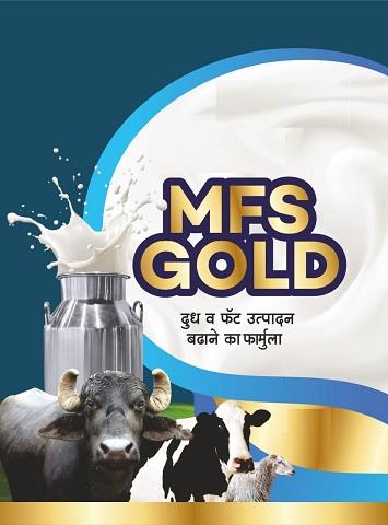 MFS GOLD logo