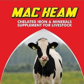 MAC HEAM logo
