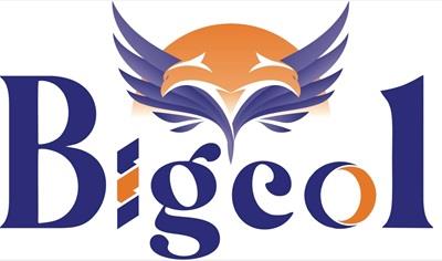 BIGCOL logo