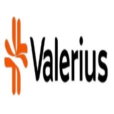 Valerius logo