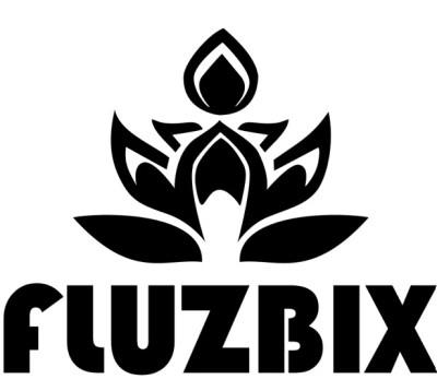 FLUZBIX logo