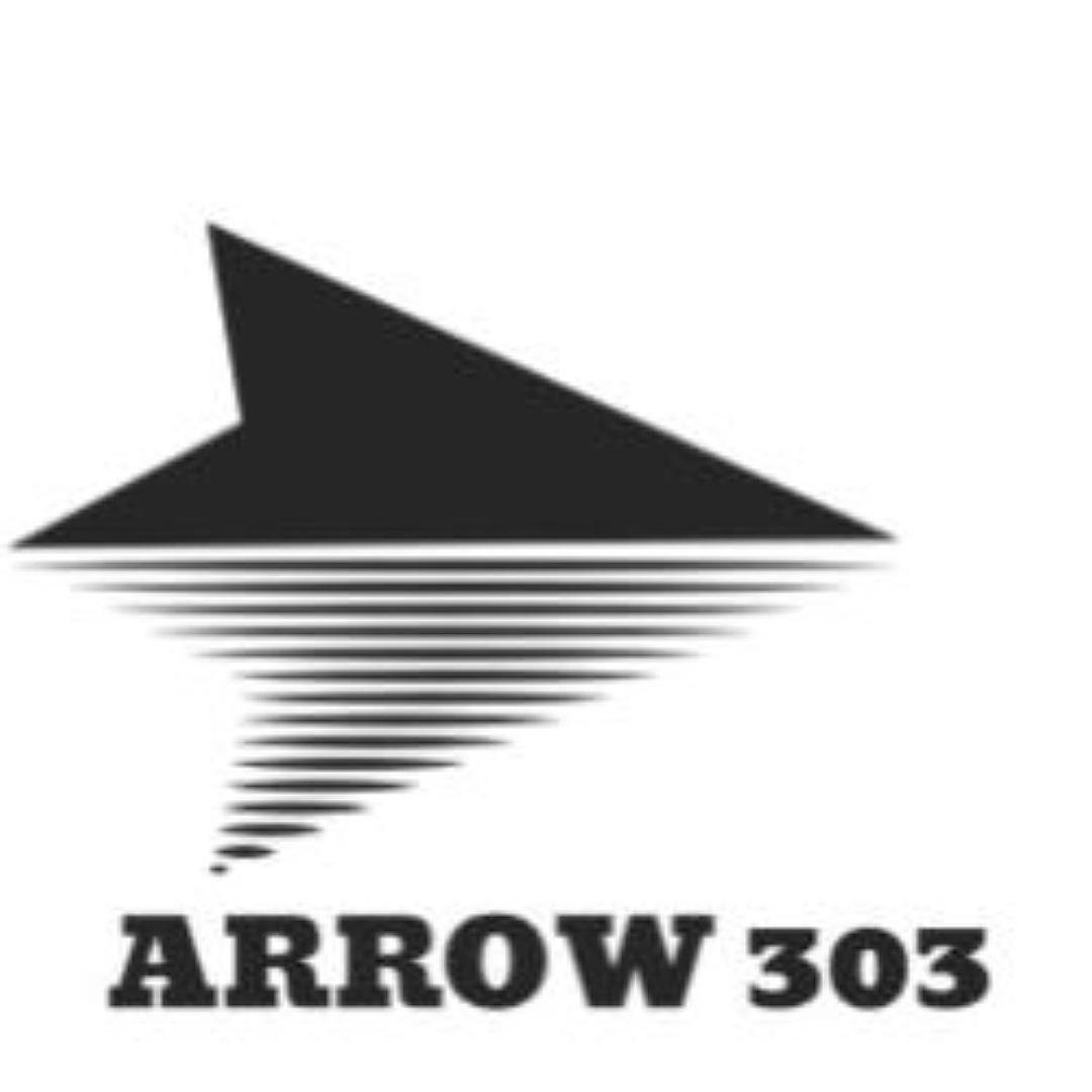 ARROW 303 logo