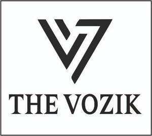 THE VOZIK logo