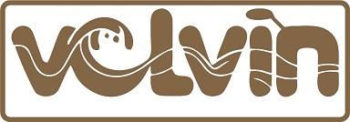 VOLVIN logo