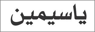 YASYAMEEN logo