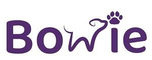 BOWIE logo