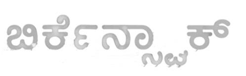 BIRKENSTOCK logo