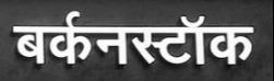 BIRKENSTOCK logo