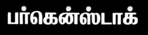 BIRKENSTOCK logo