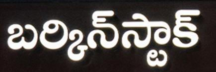 BIRKENSTOCK logo