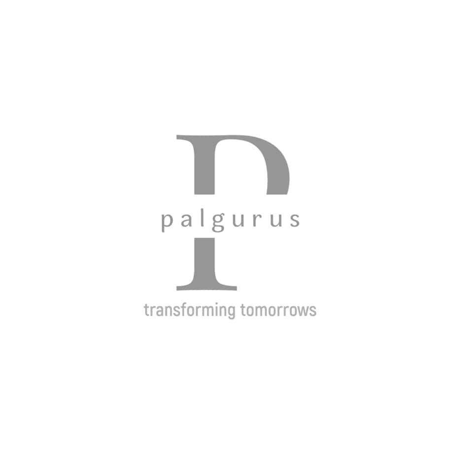 PALGURUS - TRANSFORMING TOMORROWS logo