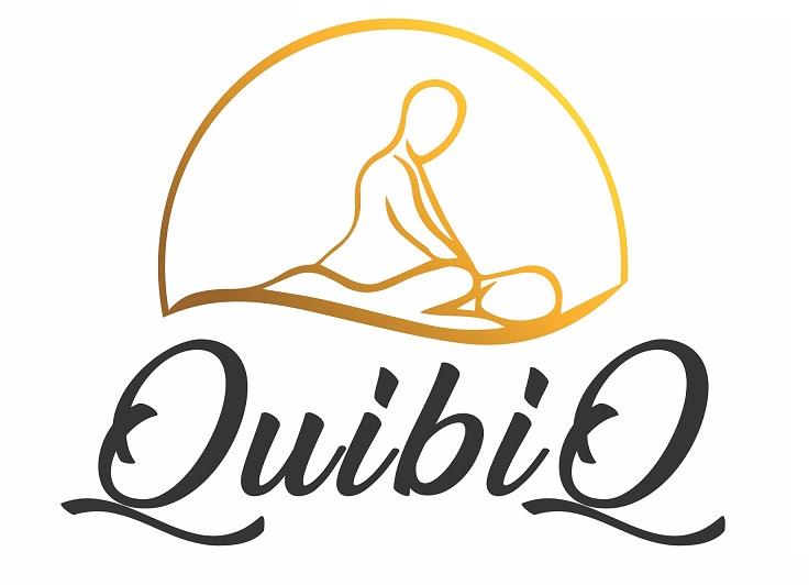 Quibiq logo