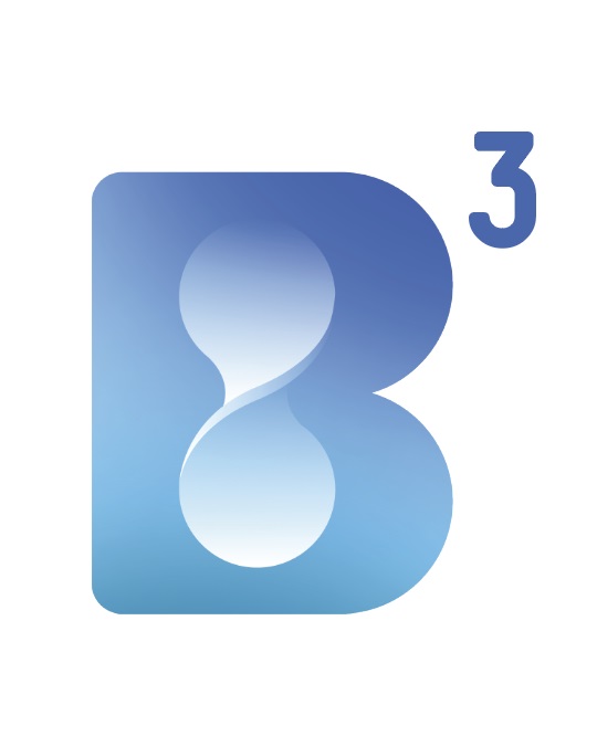 B3 logo
