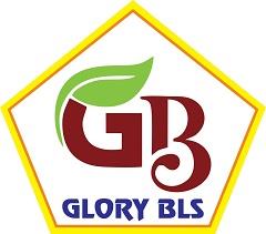 GB GLORY BLS logo