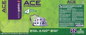 ACE EXTERIOR EMULSION logo