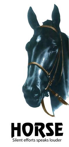 HORSE-Silent efforts speaks louder logo