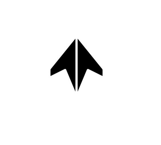 Double Flash Device logo