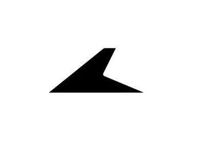 Flash device logo