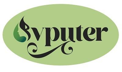 Bvputer logo
