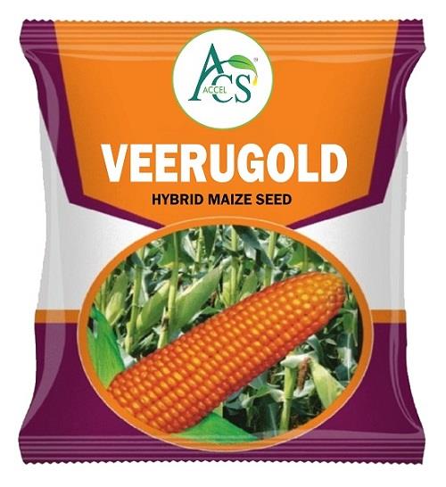 ACS ACCEL VEERUGOLD logo