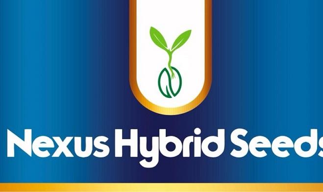 Nexus Hybrid Seeds logo