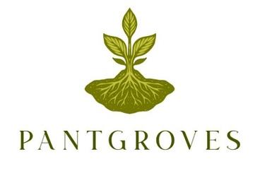 PANTGROVES logo