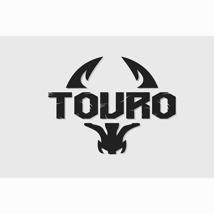 TOURO logo