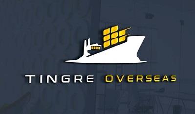 TINGRE OVERSEAS logo