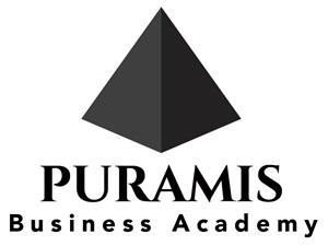 PURAMIS Business Academy logo