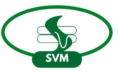 SVM AND DEVICE logo