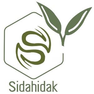 Sidahidak with Device S logo