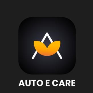 AUTO E CARE logo