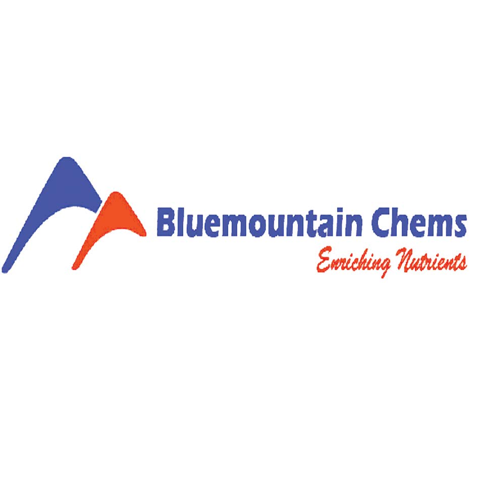 lan Bluemountain Chems logo