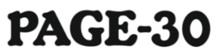 PAGE-30 logo
