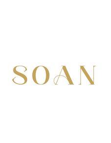 SOAN logo