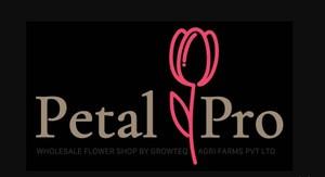 Petal logo