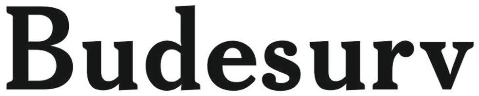 Budesurv logo