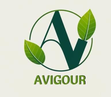 AVIGOUR logo