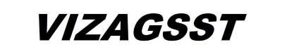 VIZAGSST logo