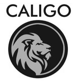 CALIGO logo