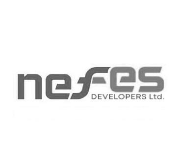 DEVELOPERS Ltd logo